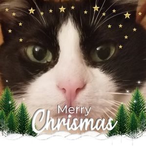 Meet your Posher, Judy